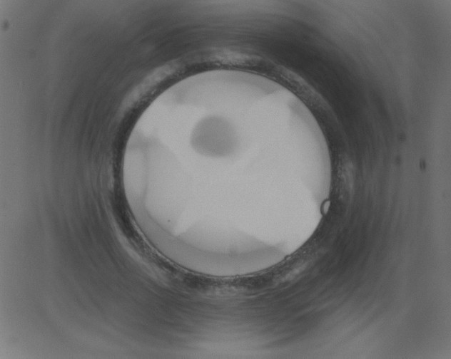 X0000081300734200702012309