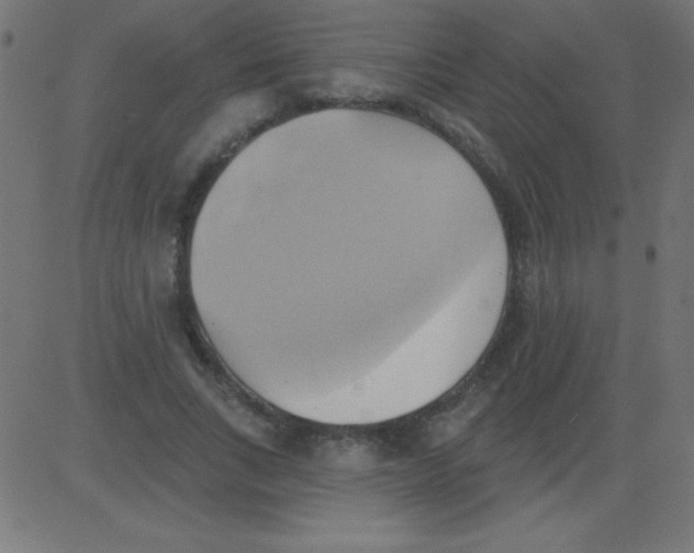 X0000081300735200702012309