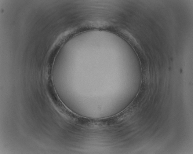 X0000081300736200702012309