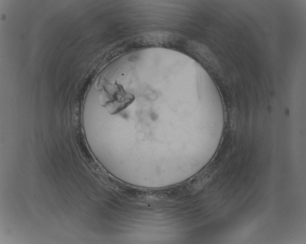 X0000081300737200702012309