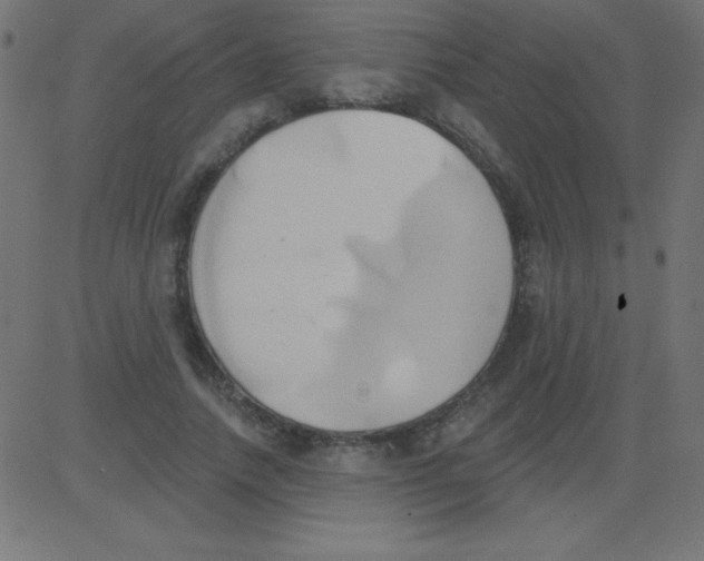 X0000081300738200702012309