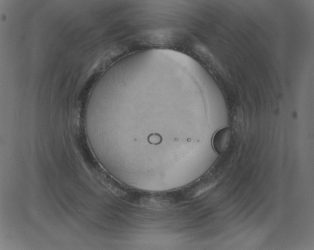 X0000081300739200702012309