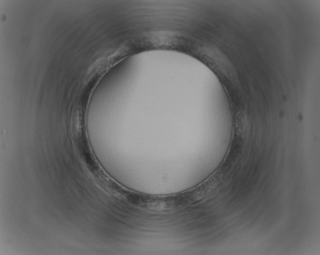 X0000081300740200702012309