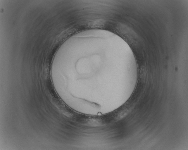 X0000081300741200702012309