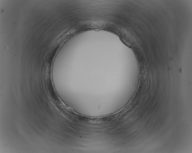 X0000081300744200702012309