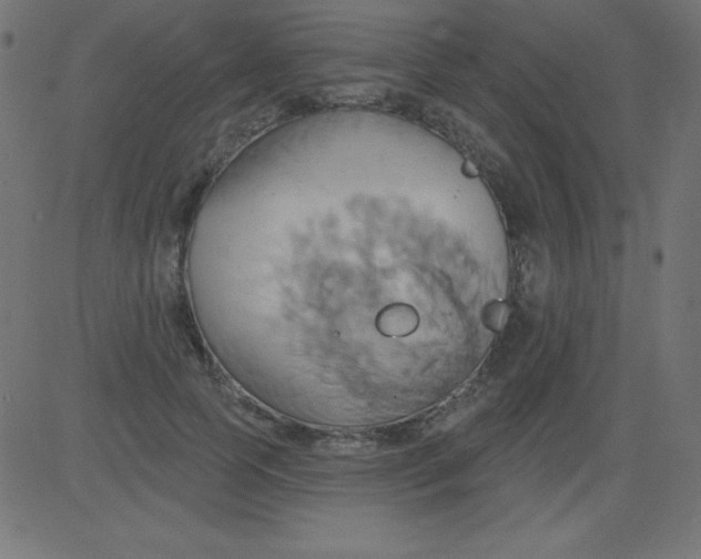 X0000081300745200702012309