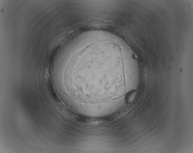 X0000081300746200702012309