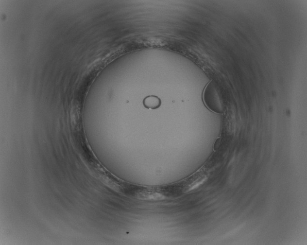 X0000081300747200702012309