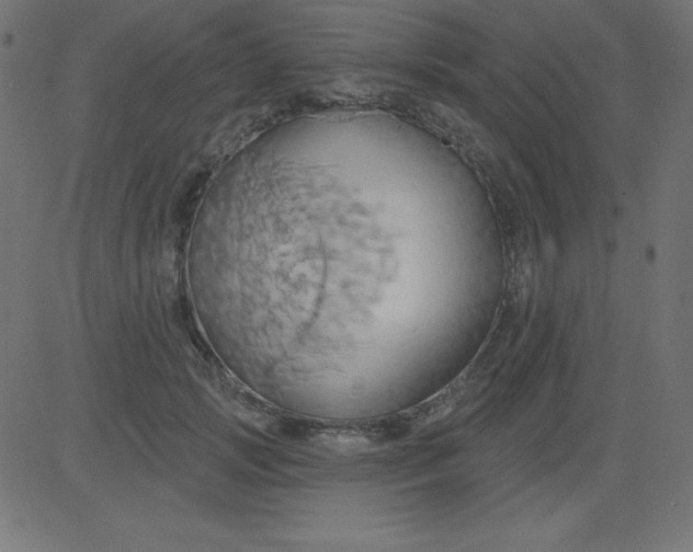 X0000081300749200702012309