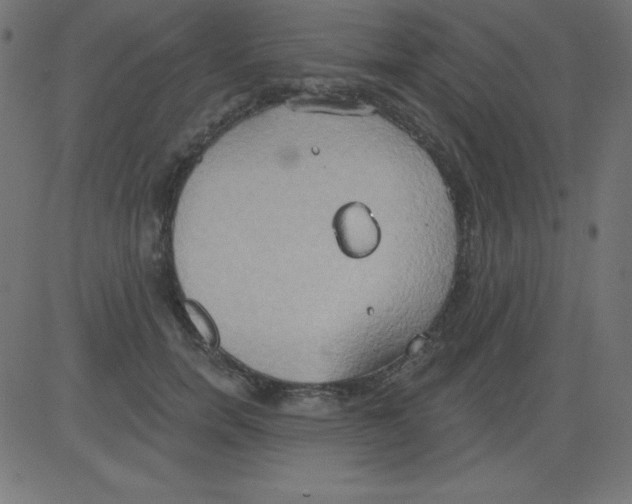 X0000081300750200702012309