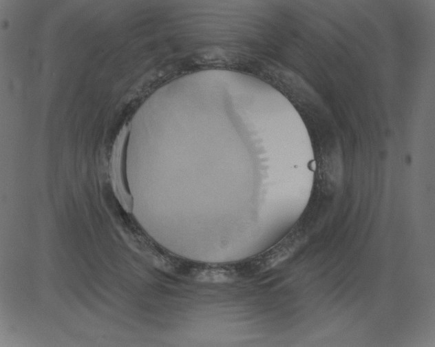 X0000081300751200702012309