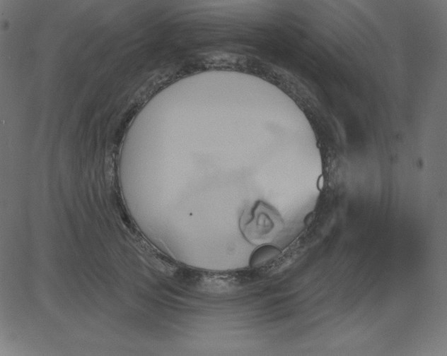 X0000081300753200702012309