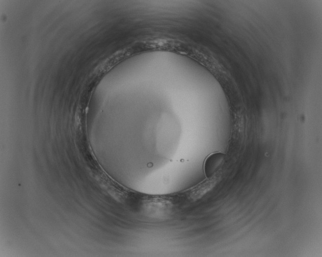 X0000081300754200702012309