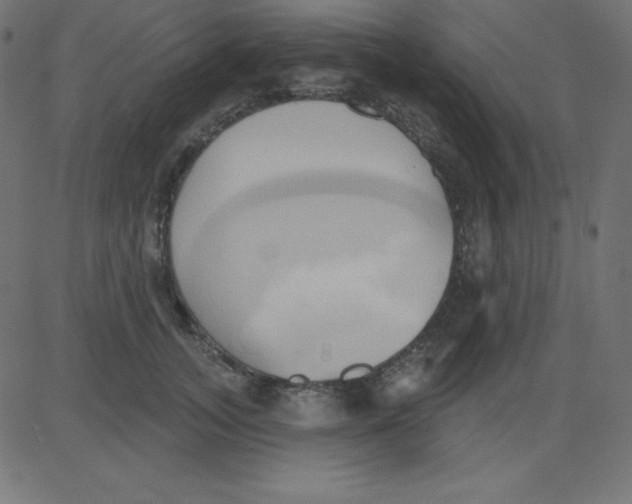 X0000081300755200702012309