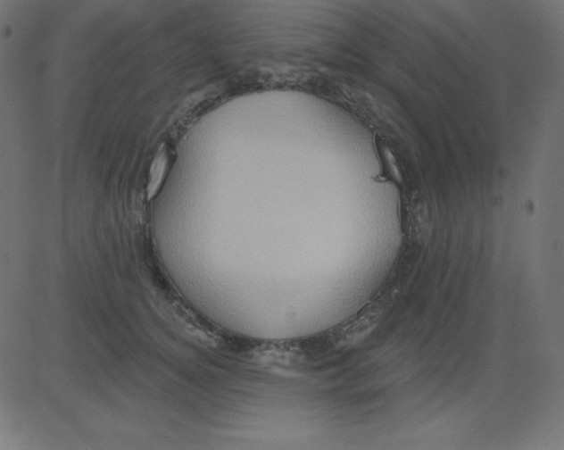 X0000081300756200702012309