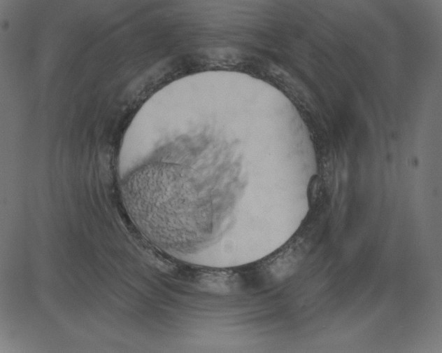 X0000081300757200702012309