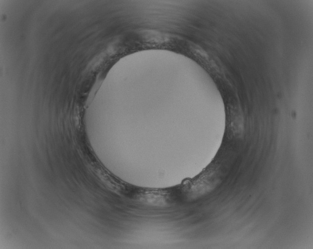 X0000081300758200702012309