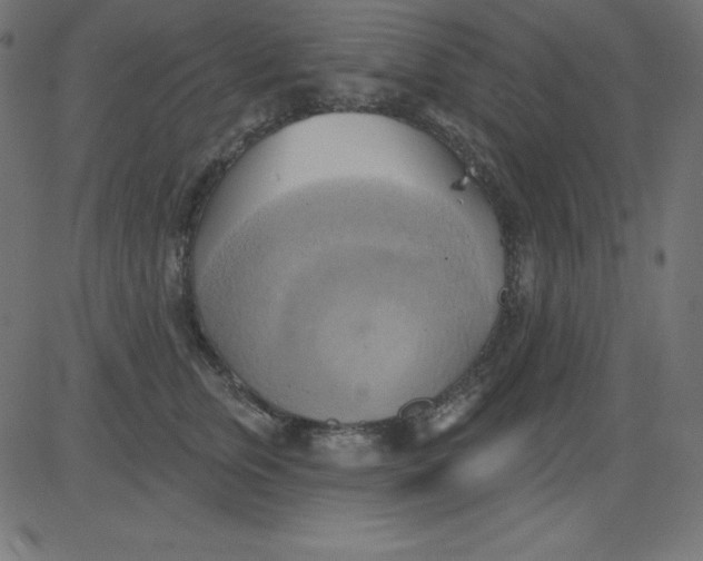 X0000081300759200702012309