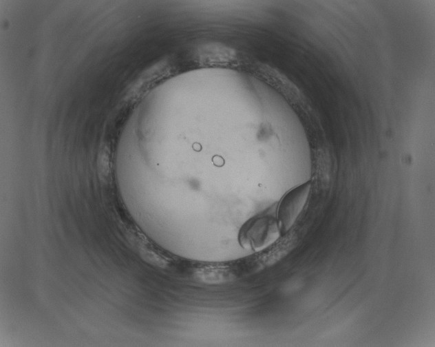 X0000081300761200702012309