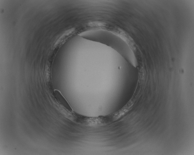 X0000081300762200702012309