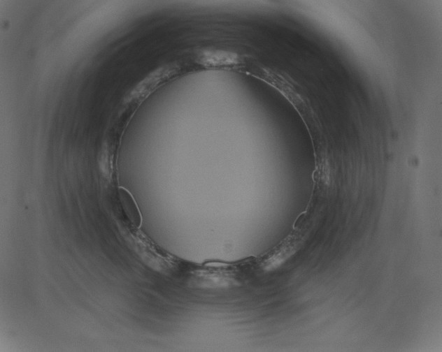 X0000081300763200702012309