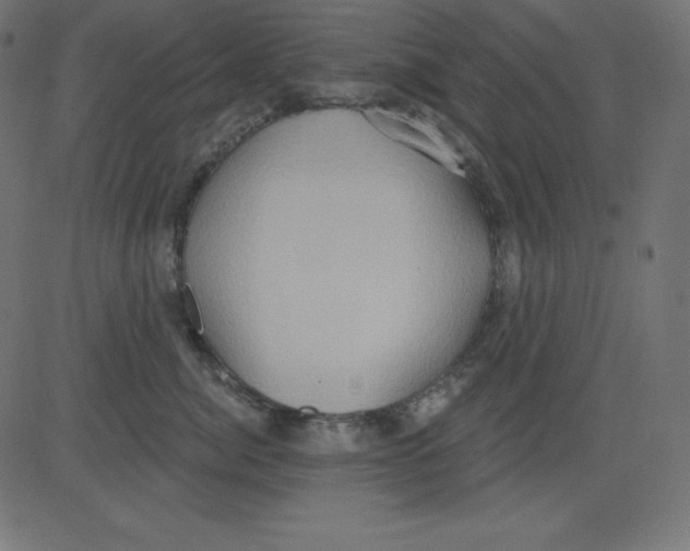 X0000081300764200702012309