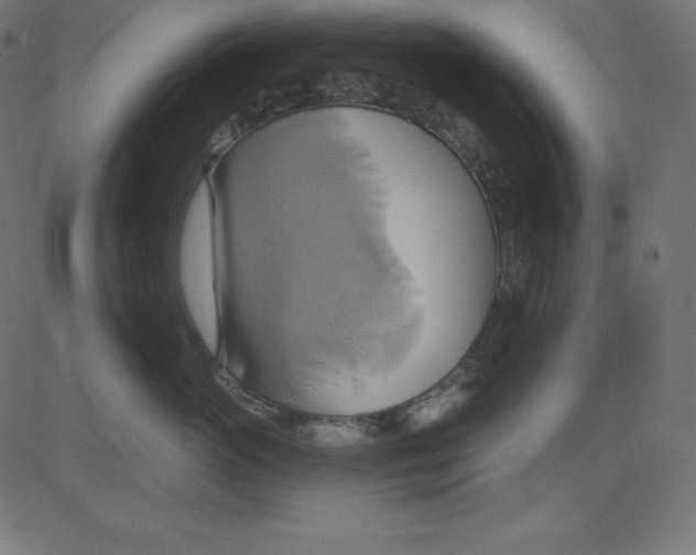 X0000081300765200702012309