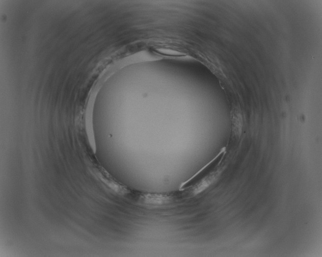 X0000081300766200702012309