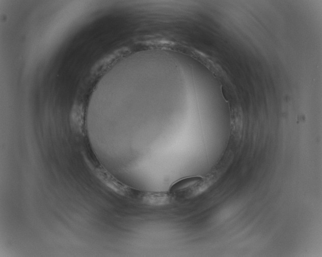 X0000081300767200702012309