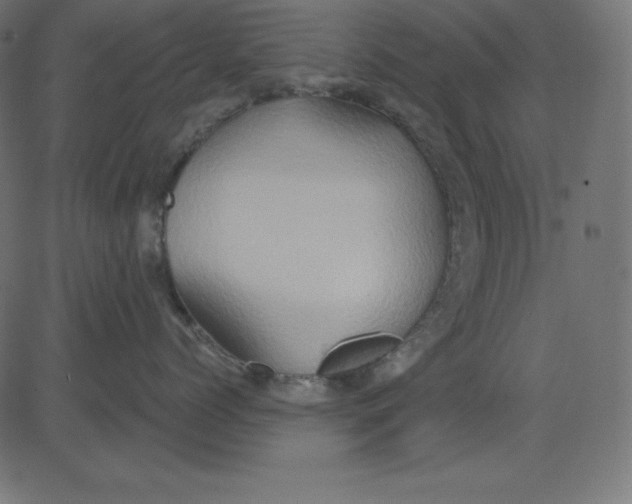 X0000081300768200702012309