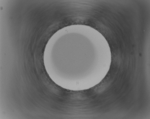 X0000081300769200702012308