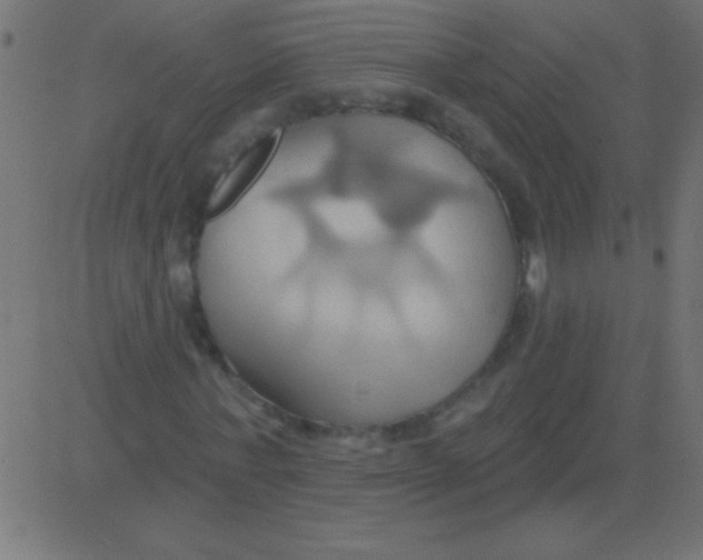 X0000081300771200702012308