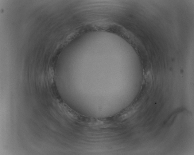 X0000081300772200702012308