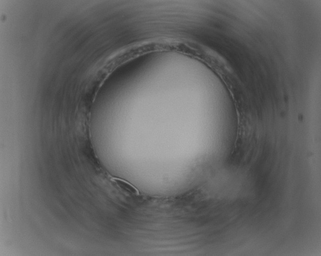 X0000081300773200702012308