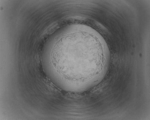 X0000081300774200702012308