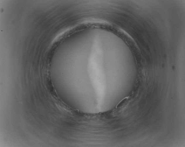 X0000081300775200702012308