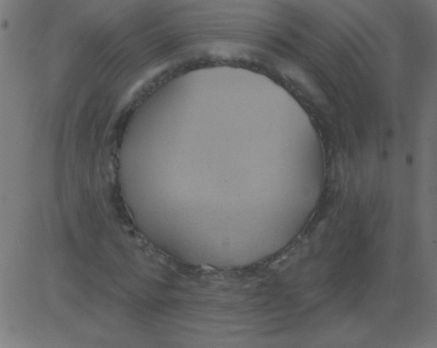 X0000081300776200702012308