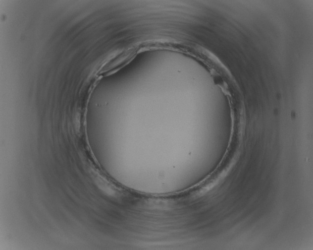 X0000081300777200702012308