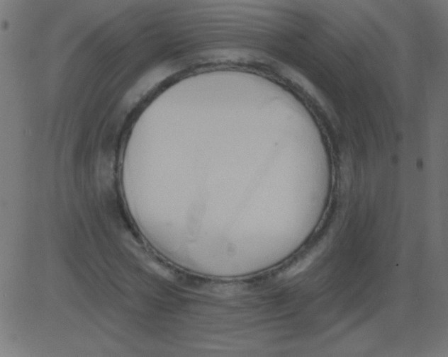 X0000081300778200702012308