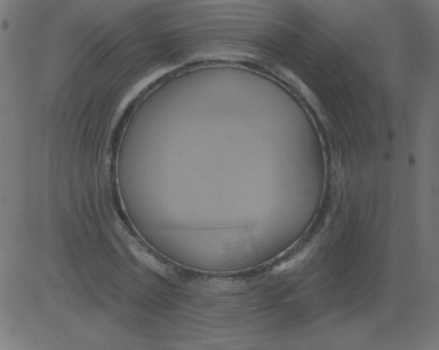 X0000081300779200702012308