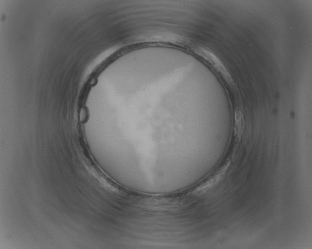 X0000081300780200702012308