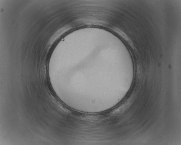 X0000081300782200702012308