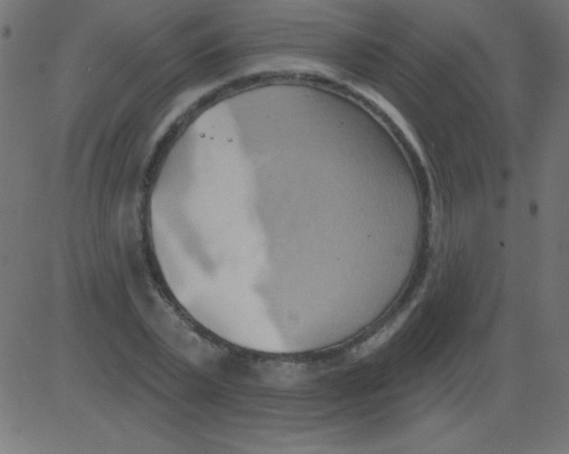 X0000081300783200702012308