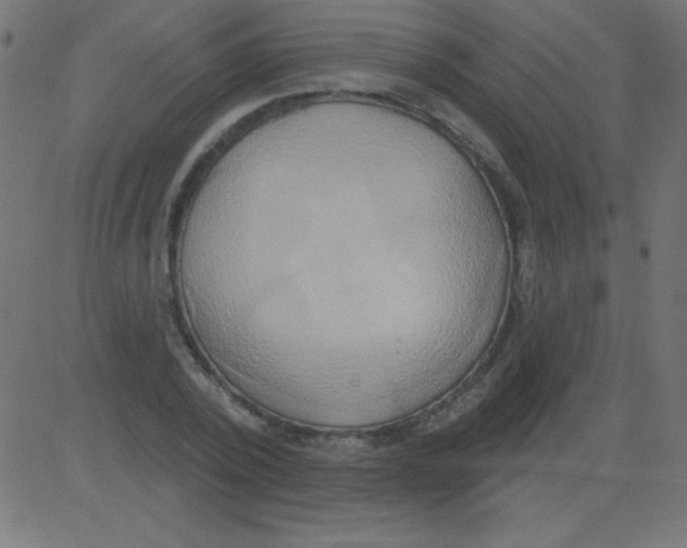 X0000081300784200702012308