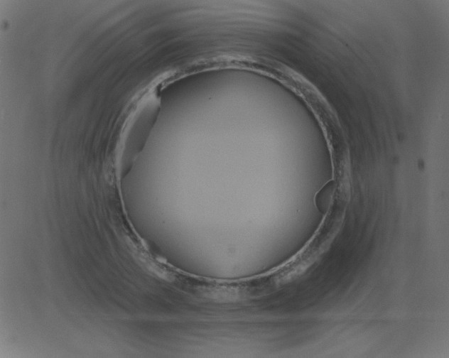 X0000081300785200702012308