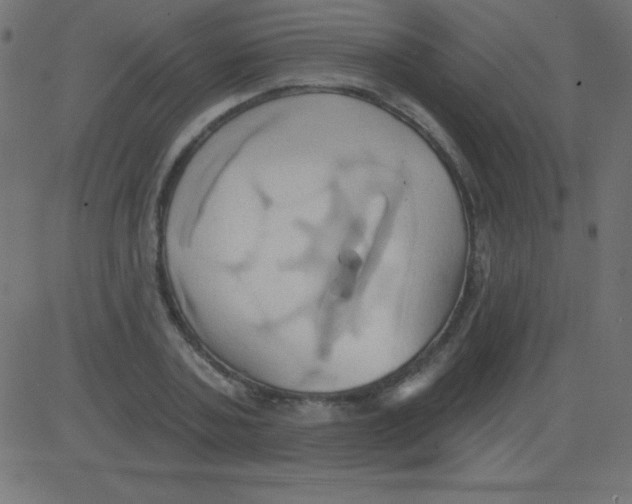 X0000081300787200702012308