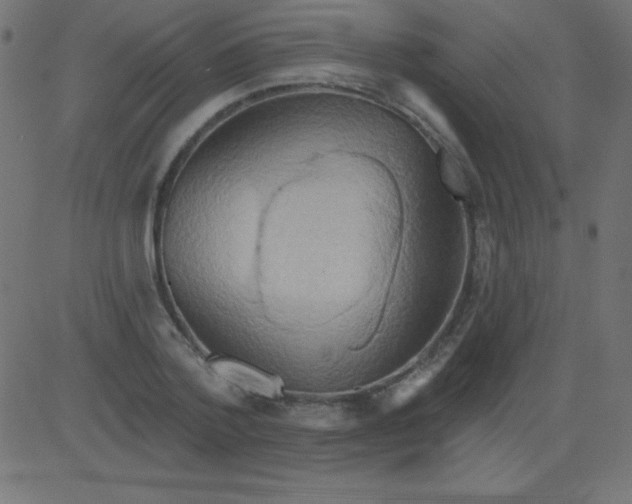 X0000081300788200702012308