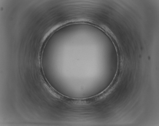 X0000081300789200702012308