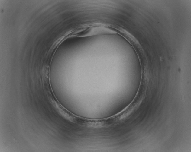 X0000081300793200702012308