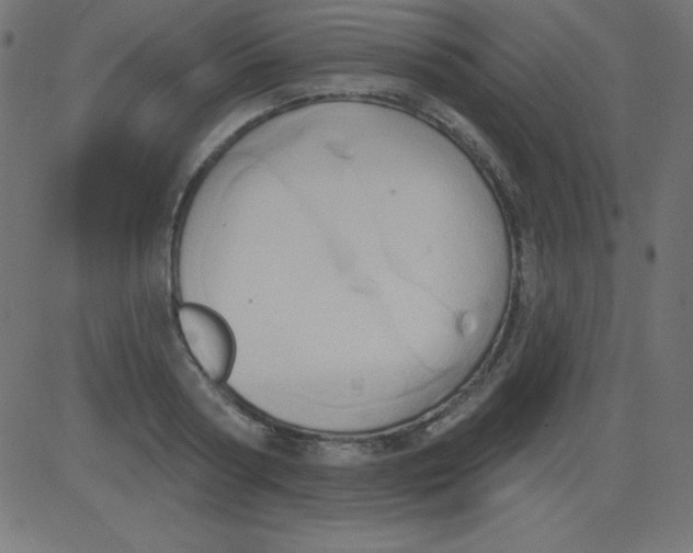 X0000081300794200702012308